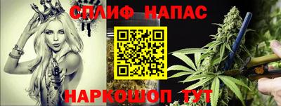 спиды Кинель