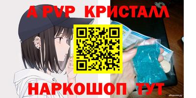 круглые Кингисепп