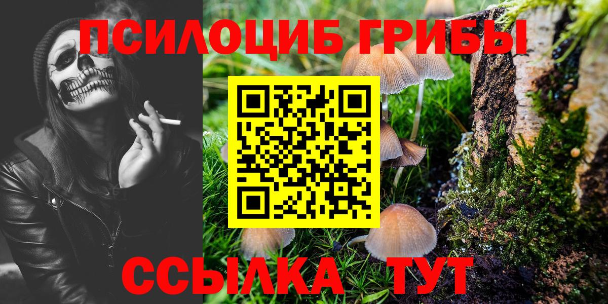 Псилоцибиновые грибы прущие грибы Десногорск
